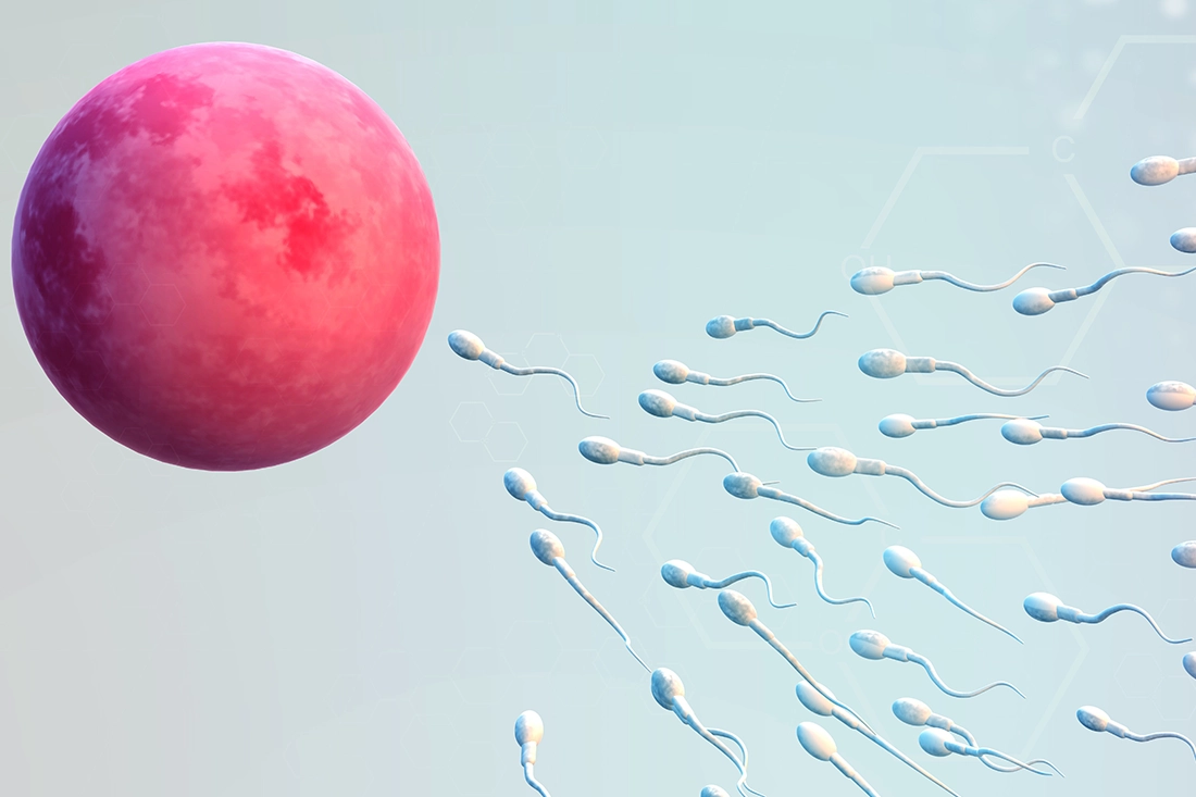 o9Medical - The Best Infertility Treatment Hospitals in Turkey