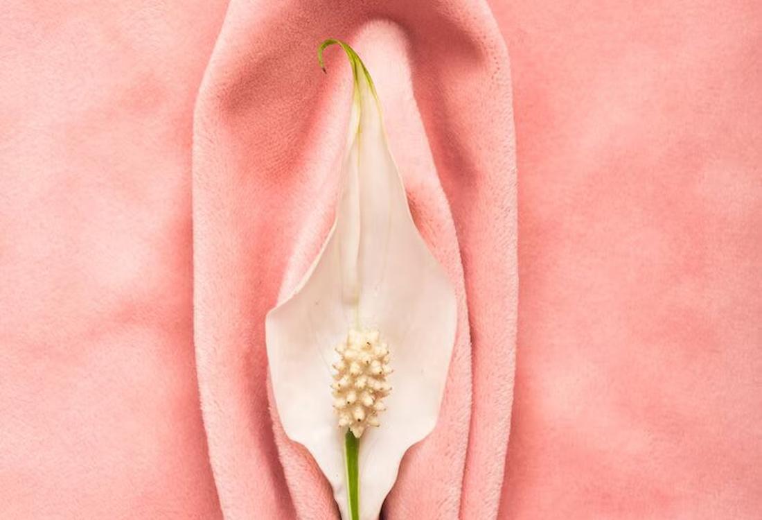 o9Medical - Labiaplasty Surgery in Turkey